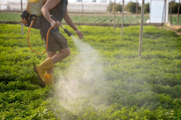 Best Pest Prevention Services  in San Marcos, CA