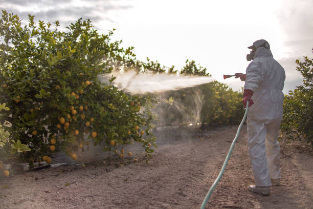 San Marcos, CA Pest Control Company